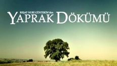 Yaprak Dökümü 46.Bölüm izle