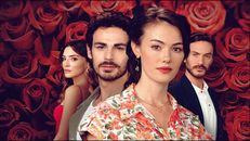 Gül Masalı 7.Bölüm izle