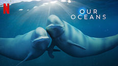 Our Oceans 1.Sezon 1.Bölüm izle