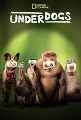 Underdogs son bölüm izle