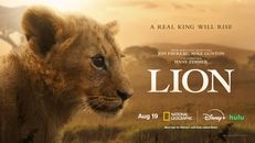 Lion 2026 1.Sezon 4.Bölüm izle