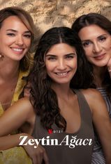 Zeytin Ağacı son bölüm izle