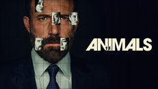 Animals izle
